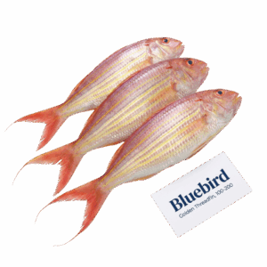 Brand: Bluebird Golden Threadfin, 100-200