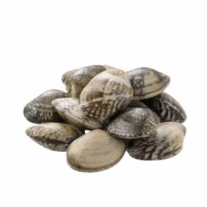 Manila Clams, Large (14-19ct)
