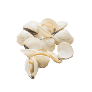 Brand: Obaba Cooked White Clam Whole, Wild Catch, 27-32
