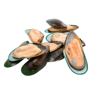 Brand: Sea Product Greenshell Mussel 1/2 Shell, Med