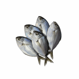 Brand: Firexpa Butter Fish, Wild Catch, 200-300