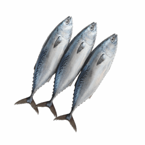 Brand: Obaba Whole Round Bonito Tuna, 2-4