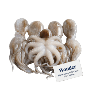 Brand: Wonder Big Octopus, Wild Catch, 6-8