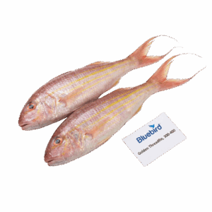 Brand: Bluebird Golden Threadfin, 300-400