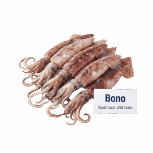 Brand: Bono Squid Local, Wild Catch