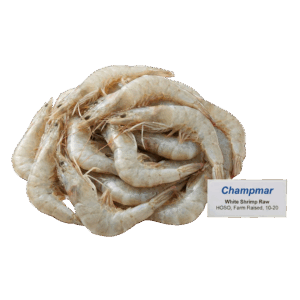 Brand- Champmar White Shrimp Raw HOSO, Farm Raised, 10-20
