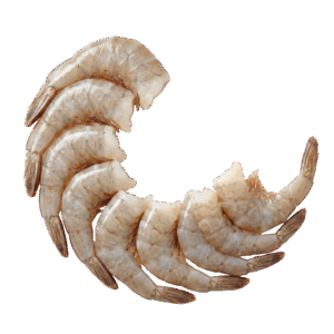 Brand- Tropical White Shrimp HLSO, Farm Raised, 26-30