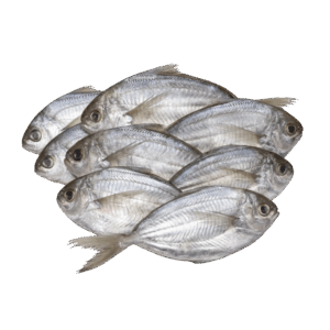 Brand: Firexpa Butter Fish, Wild Catch, 150-200