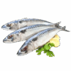 Norwegian Mackerel, Wild Catch, 600-800