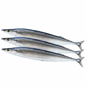 Pacific Saury (Mickerle Pike) WR, Wild Catch, 80-100ct