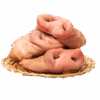 Pork Snouts