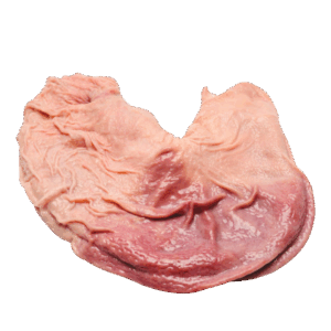 Pork Stomach