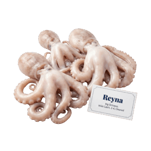 Brand: Reyna Big Octopus, Wild Catch, 2-4