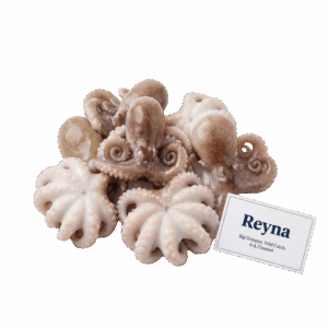 Brand: Reyna Big Octopus, Wild Catch, 4-6