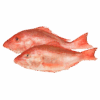 Red Snapper, Wild Catch, 1-2