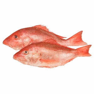 Red Snapper, Wild Catch, 1-2