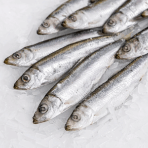 Sardines Whole, 10-20