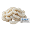 Tropical White Shrimp Raw PD, Farm Raised, 26-30