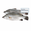 Brand: West Bay Barramundi (Giant Sea Perch) Whole Round, Farm Raised, 2-3lb