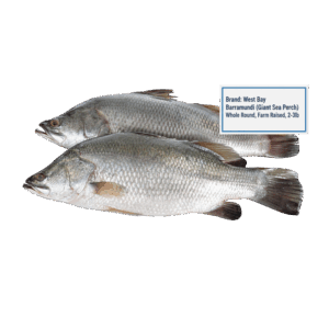 Brand: West Bay Barramundi (Giant Sea Perch) Whole Round, Farm Raised, 2-3lb