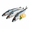Brand: Pelagia Norwegian Mackerel, Wild Catch, 600-800