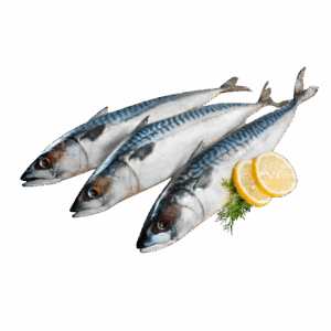 Brand: Pelagia Norwegian Mackerel, Wild Catch, 600-800