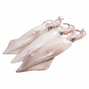 Brand: Sea Wave Squid Local, Wild Catch