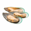 Greenshell Mussel 1/2 Shell, Large