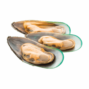 Greenshell Mussel 1/2 Shell, Large