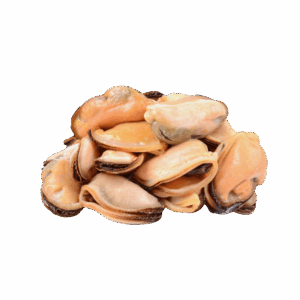 Greenshell Mussel Meat