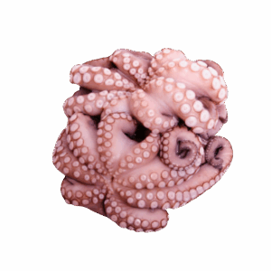 Brand: Ancavico Spanish Octopus, 6-8