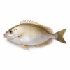 Rabbit Fish Whole (Ca Dia Nc), Wild Catch, 200-300g