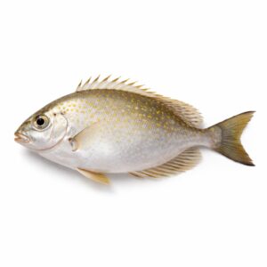 Rabbit Fish Whole (Ca Dia Nc), Wild Catch, 200-300g