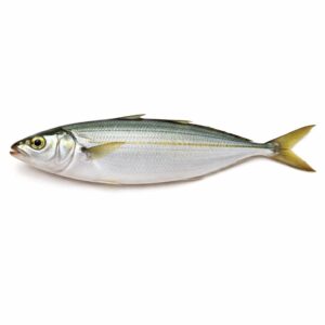 Round Scad WR (Ca Nuc Suon), Wild Catch, 16-20