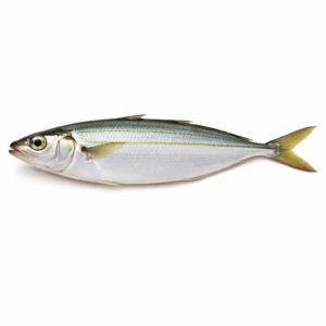 Round Scad WR (Ca Nuc Suon), Wild Catch, 21-25