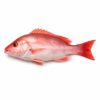 Red Snapper, Wild Catch, 1-2