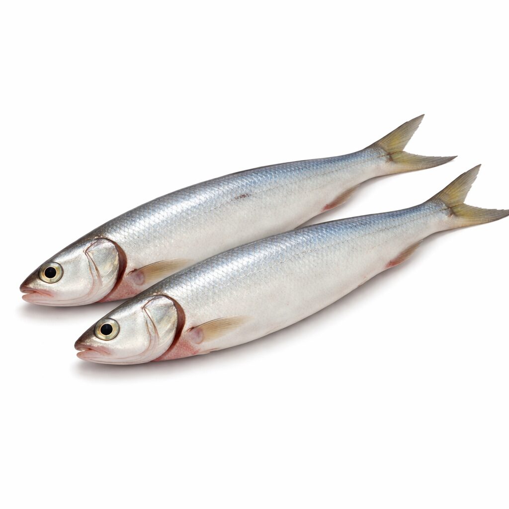 Lady Fish H&G, Wild Catch, 1-2