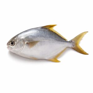 Butter Fish, Wild Catch, 150-200