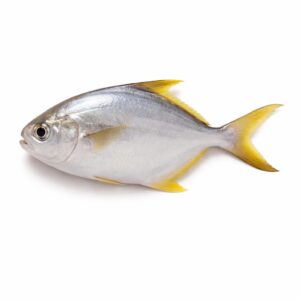 Butter Fish, Wild Catch, 100-150