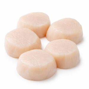 Scallop, Wild Catch, U15