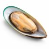 Greenshell Mussel 1/2 Shell, Farm Raised, Large