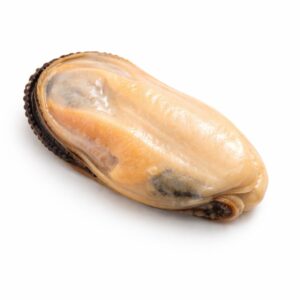 Greenshell Mussel Meat, Farm Raised