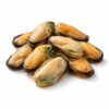 Greenshell Mussel Meat, Farm Raised