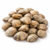 Manila Clams, Large (14-19ct)