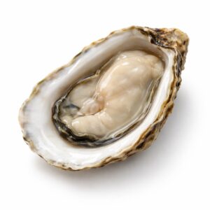 Fresh Oyster