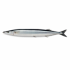 Pacific Saury (Mickerle Pike) Whole Round, Wild Catch, 80-100ct