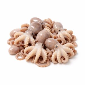 Baby Octopus, Wild Catch, 5-15