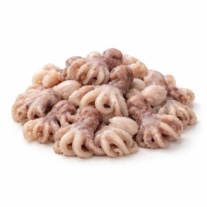 Baby Octopus, Wild Catch, 26-40