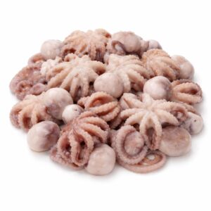 Baby Octopus, Wild Catch, 16-25