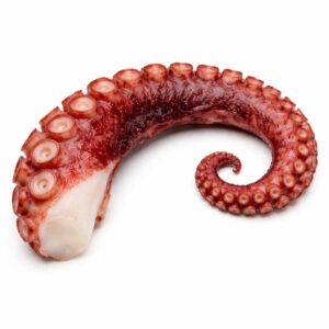 Cooked Octopus Leg, 100-150g